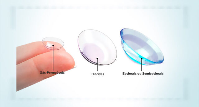 Protectores De Menudillo Para Caballos Jóvenes En TPU Y Piel De Oveja Sintetica Equestro